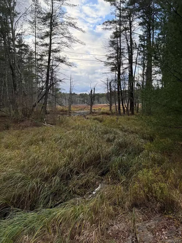 0 Puckyhuddle RD, Bethel, NY 12720