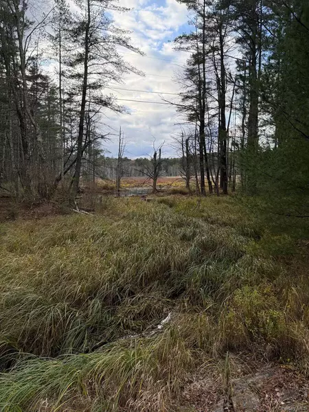 0 Puckyhuddle RD, Bethel, NY 12720