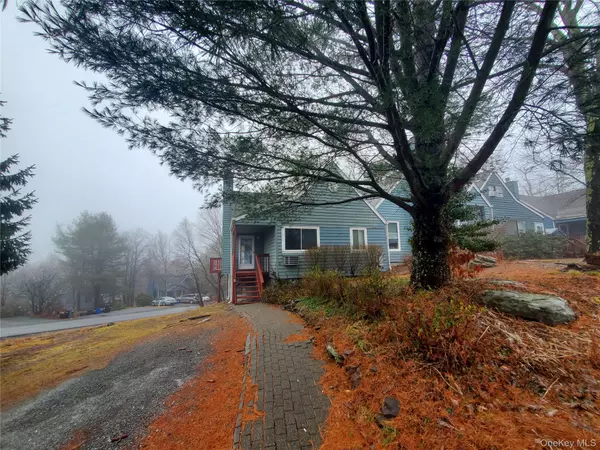 Fallsburg, NY 12789,2 Fox RDG