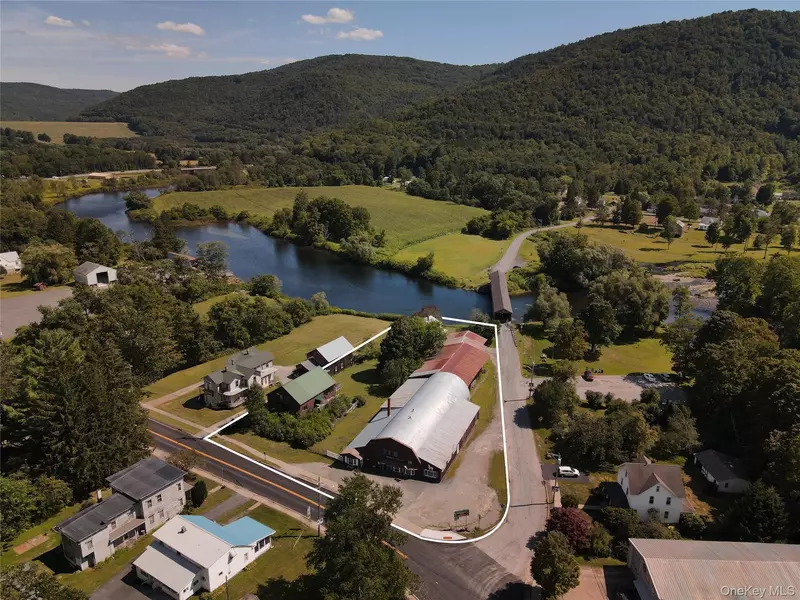 1 Bridge ST, Downsville, NY 13755