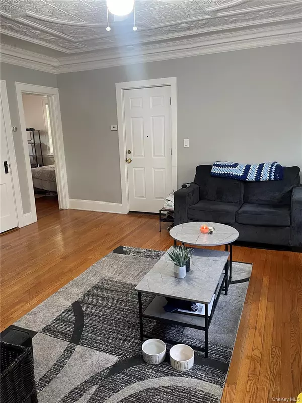 Port Chester, NY 10573,259 Olivia ST #1