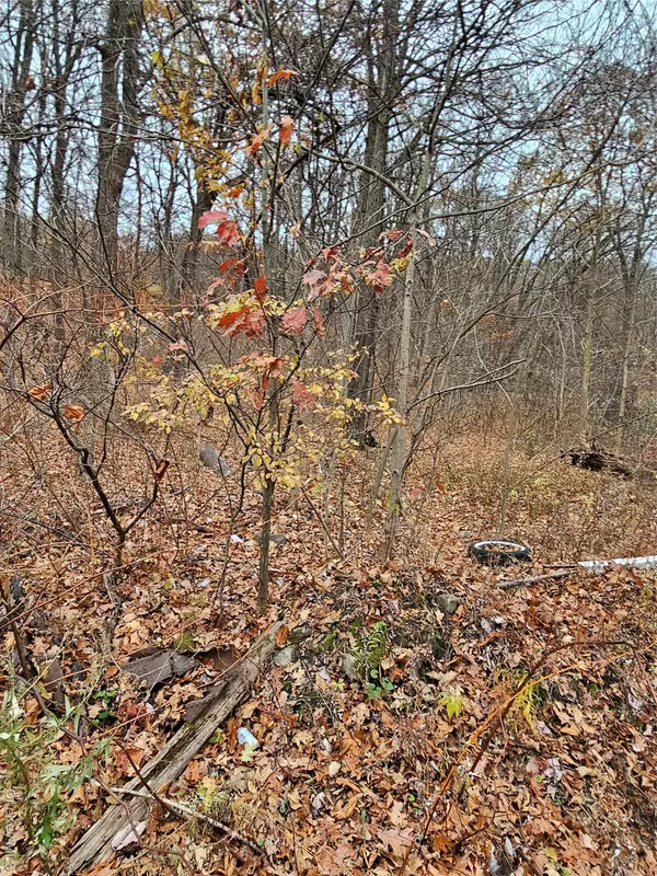 Blooming Grove, NY 10950,73 Sylvan TRL