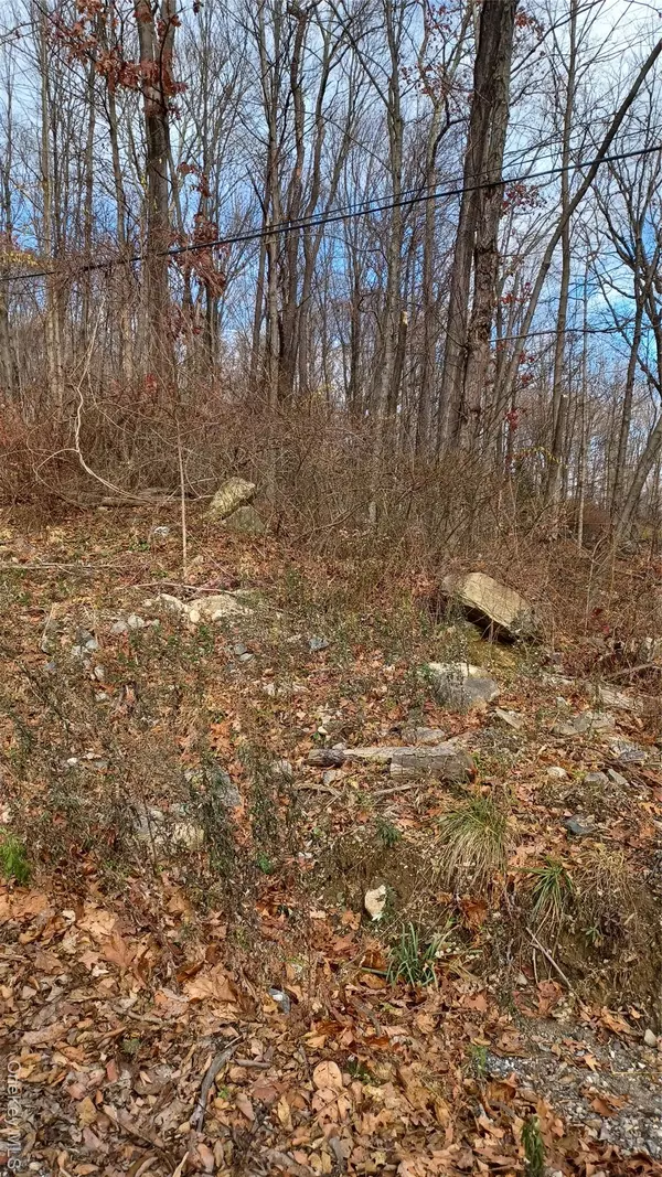 Stormville, NY 12582,4 Prout LN