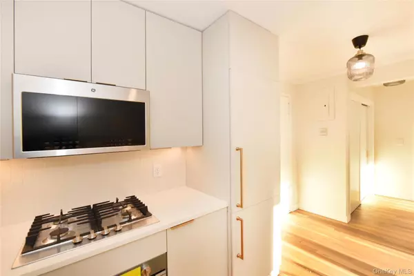 Mineola, NY 11501,1 Birchwood CT #5H