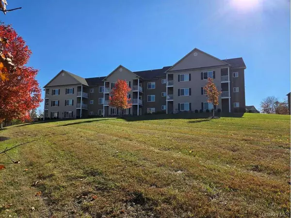 44 High ST #234, Chester, NY 10918