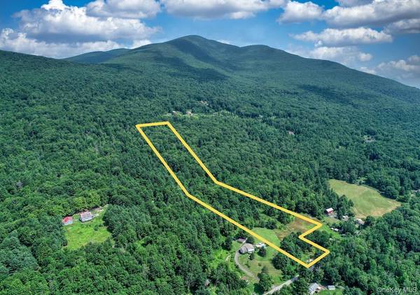 252 Upper Samsonville RD, Olivebridge, NY 12461