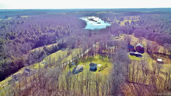 Swan Lake, NY 12783,491 Hurd RD