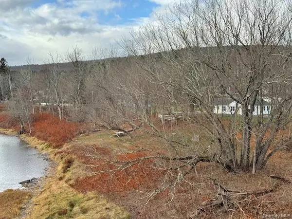 Barryville, NY 12719,12 River RD