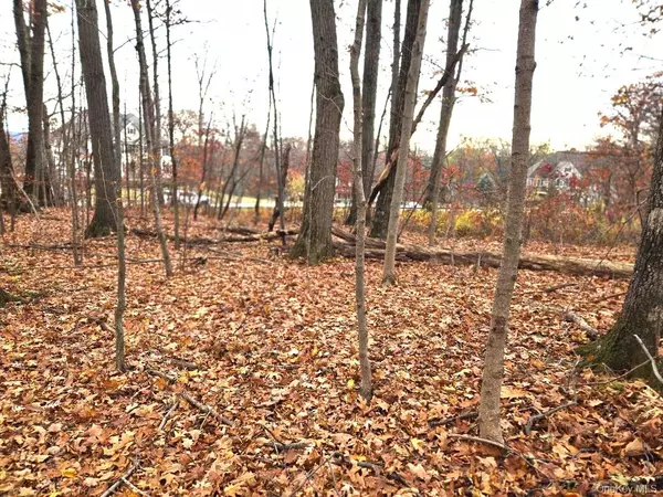 Fishkill, NY 12524,Lot 16 Newton Rd