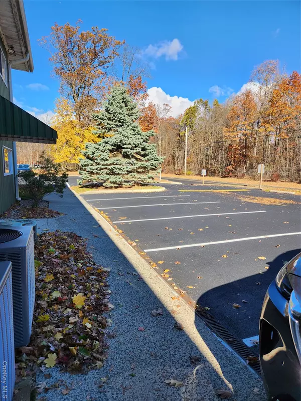 Nanuet, NY 10954,95 New Clarkstown RD #203