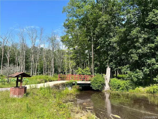 Middletown, NY 10940,79 Bisch RD