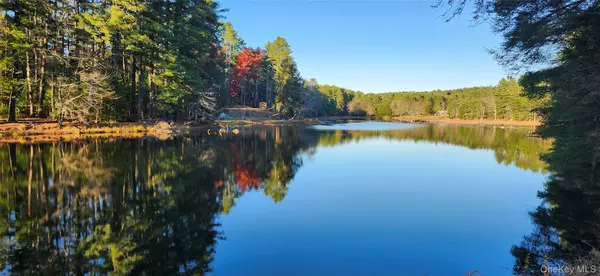 Yulan, NY 12792,40 Beaver Brook RD