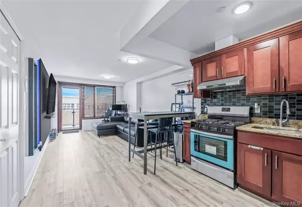 Astoria, NY 11102,30-63 31st ST #605