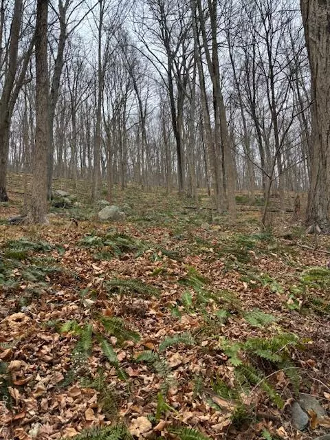 Putnam Valley, NY 10579,82 Wiccopee RD