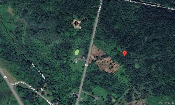 Logtown Road, Call Listing Agent, NY 12166