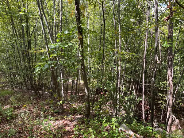 Lake Peekskill, NY 10537,31 Ridgecrest RD