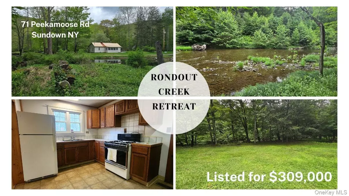 Sundown, NY 12740,71 Peekamoose RD