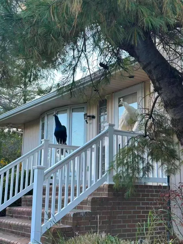 Jericho, NY 11753,59 Hazelwood DR