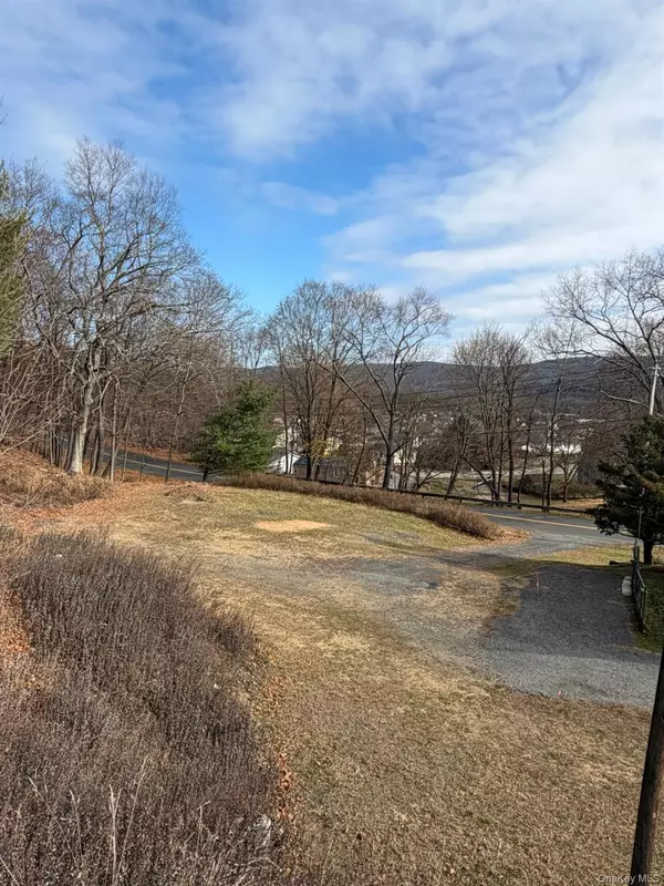 Port Jervis, NY 12771,86 Canal ST