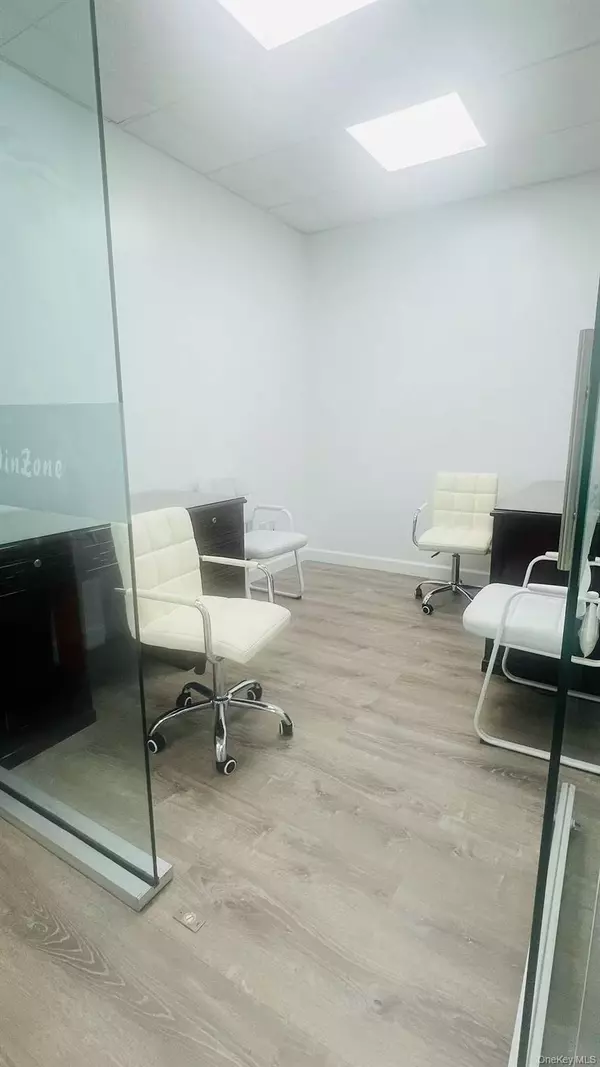 Great Neck, NY 11021,917 Northern BLVD #101