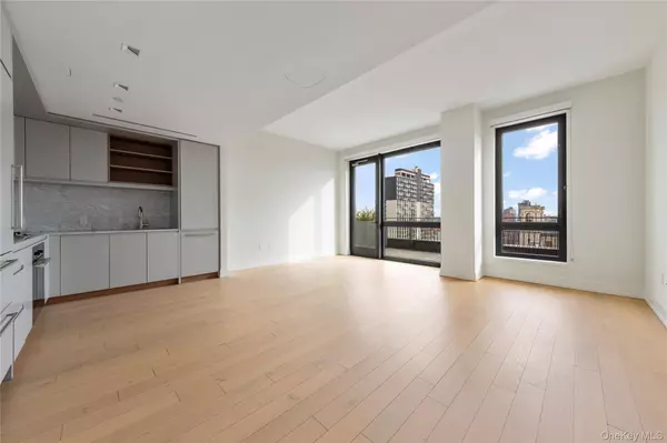 Brooklyn, NY 11238,550 Vanderbilt Avenue Avenue #915