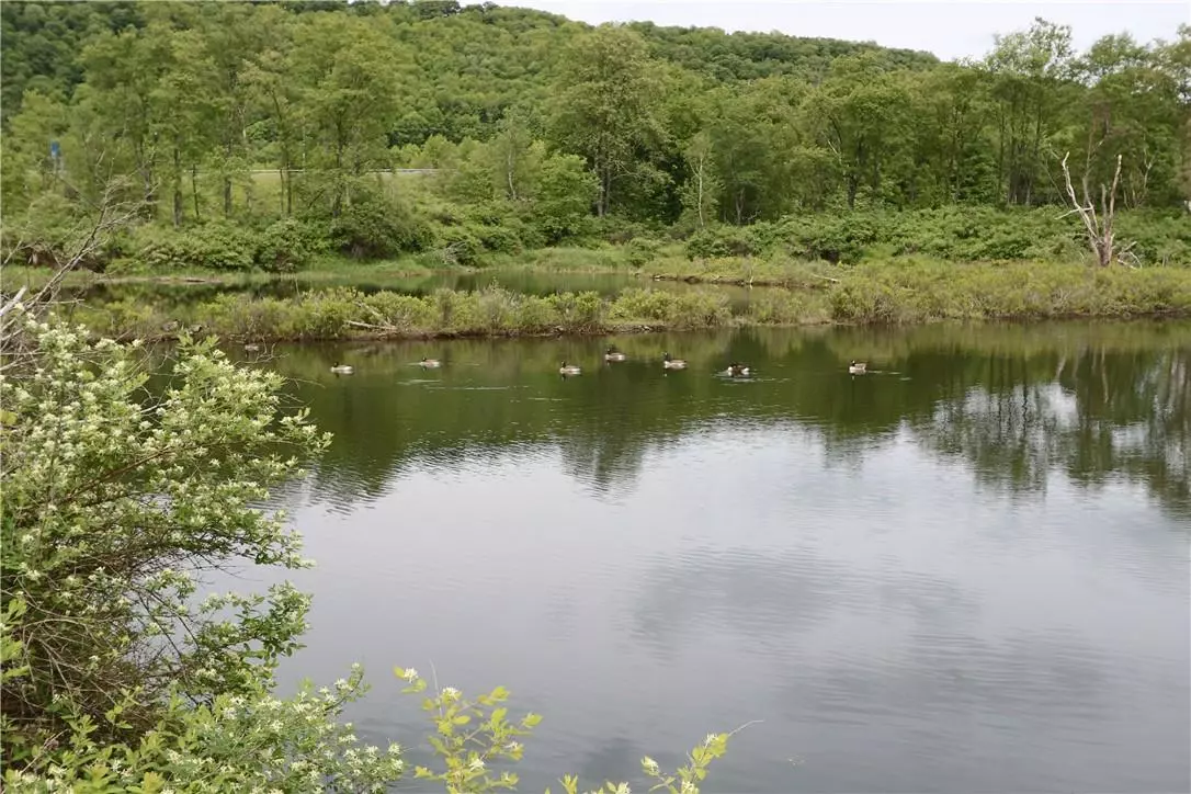 Livingston Manor, NY 12758,Covered Bridge RD