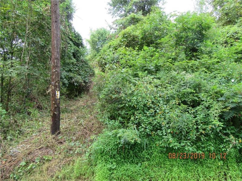 505 Toleman RD, Rock Tavern, NY 12575