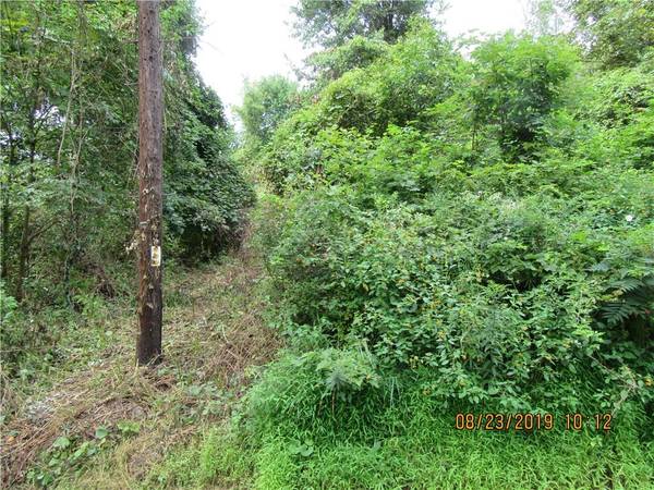 505 Toleman RD, Rock Tavern, NY 12575