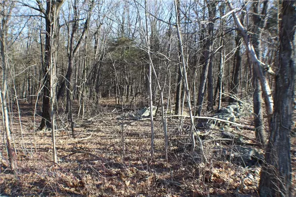 Newburgh, NY 12550,9 Sky View CT