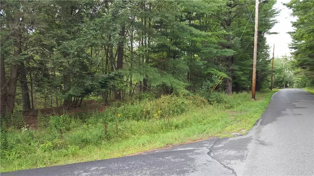 Hamilton RD, Monticello, NY 12701