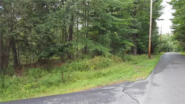 Monticello, NY 12701,Hamilton RD