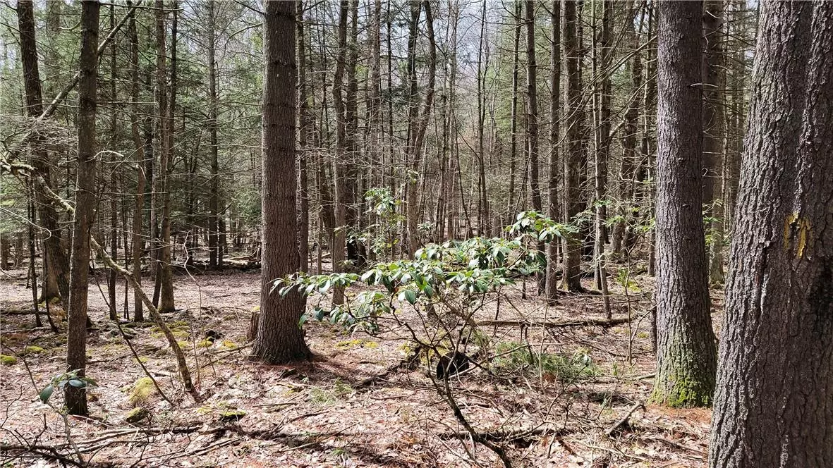 Narrowsburg, NY 12764,Lot #60 Mathais Weiden DR