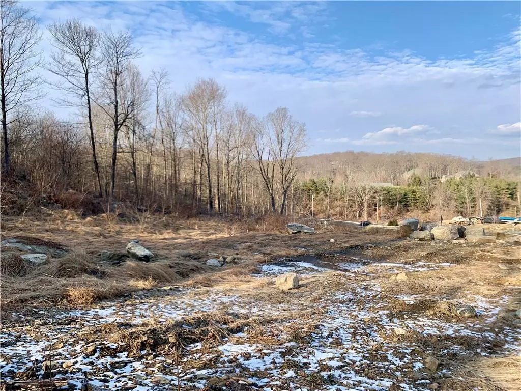 Armonk, NY 10504,1 Shoemaker LN