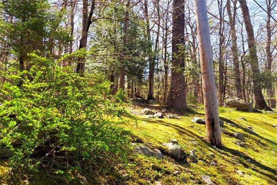 Tuxedo Park, NY 10987,Pine Road & Pepperidge RD