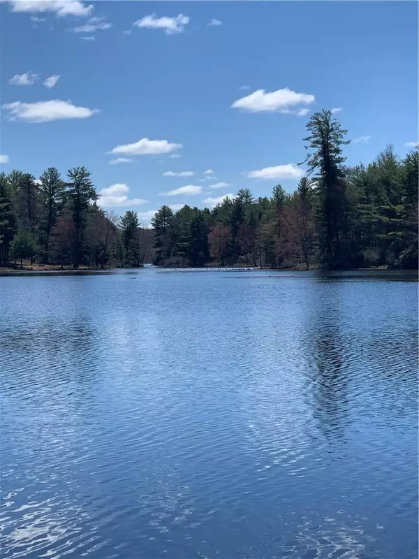 (40.-1-92.12) Lemons Brook RD, Bethel, NY 12720