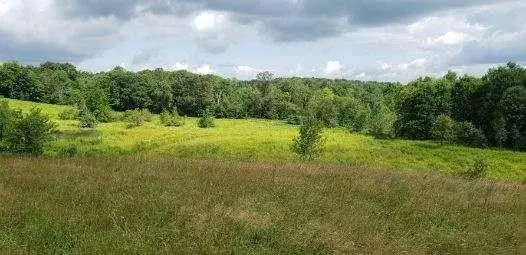 Spisak RD, Other, NY 13778