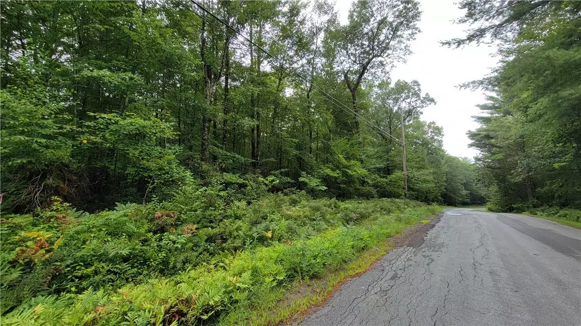 Narrowsburg, NY 12764,lot 82 Perry Pond RD