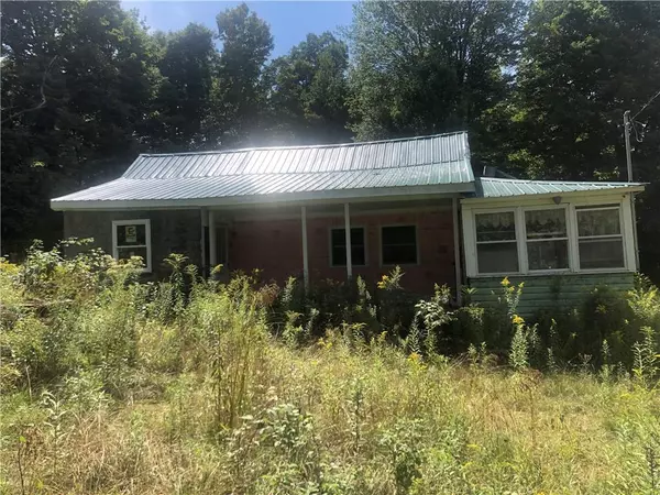 Harris, NY 12742,106 Harris RD