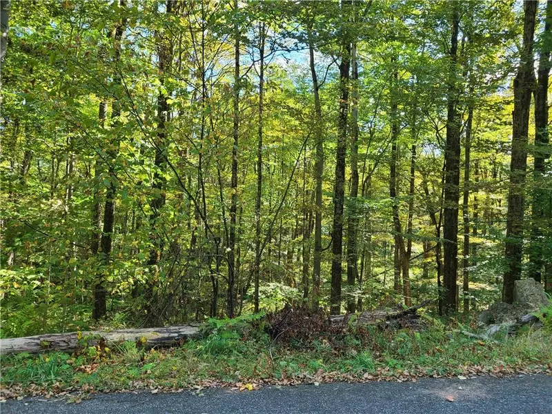 Gregory RD, Monticello, NY 12701