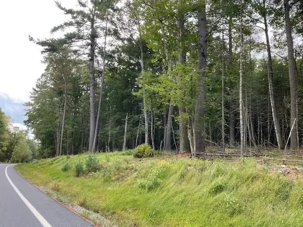 Lot 18.14 Nys 97, Narrowsburg, NY 12764