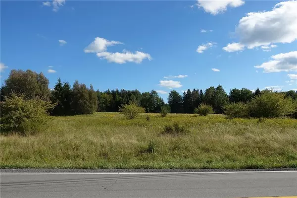 State Route 55 Lot 2, Liberty, NY 12754