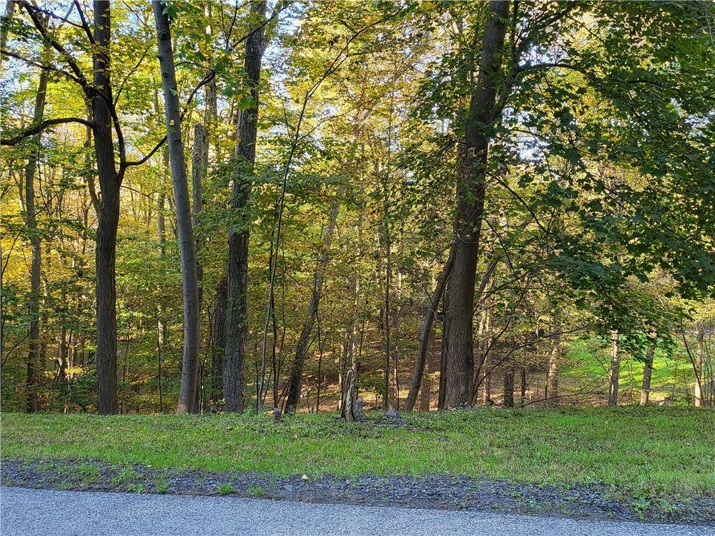 Stacy Lee DR, Newburgh, NY 12550