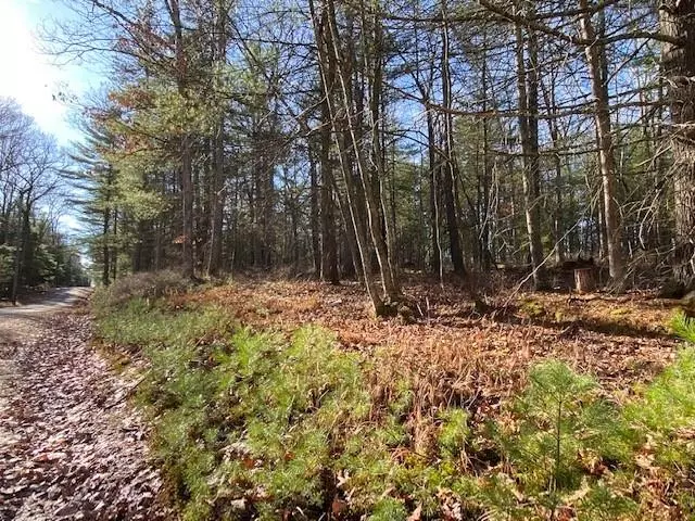 Glen Spey, NY 12737,Lot 56 Ozeriany RD