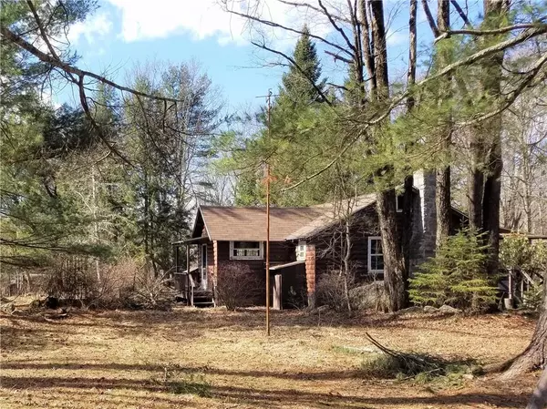 Smallwood, NY 12778,11 Moose TRL