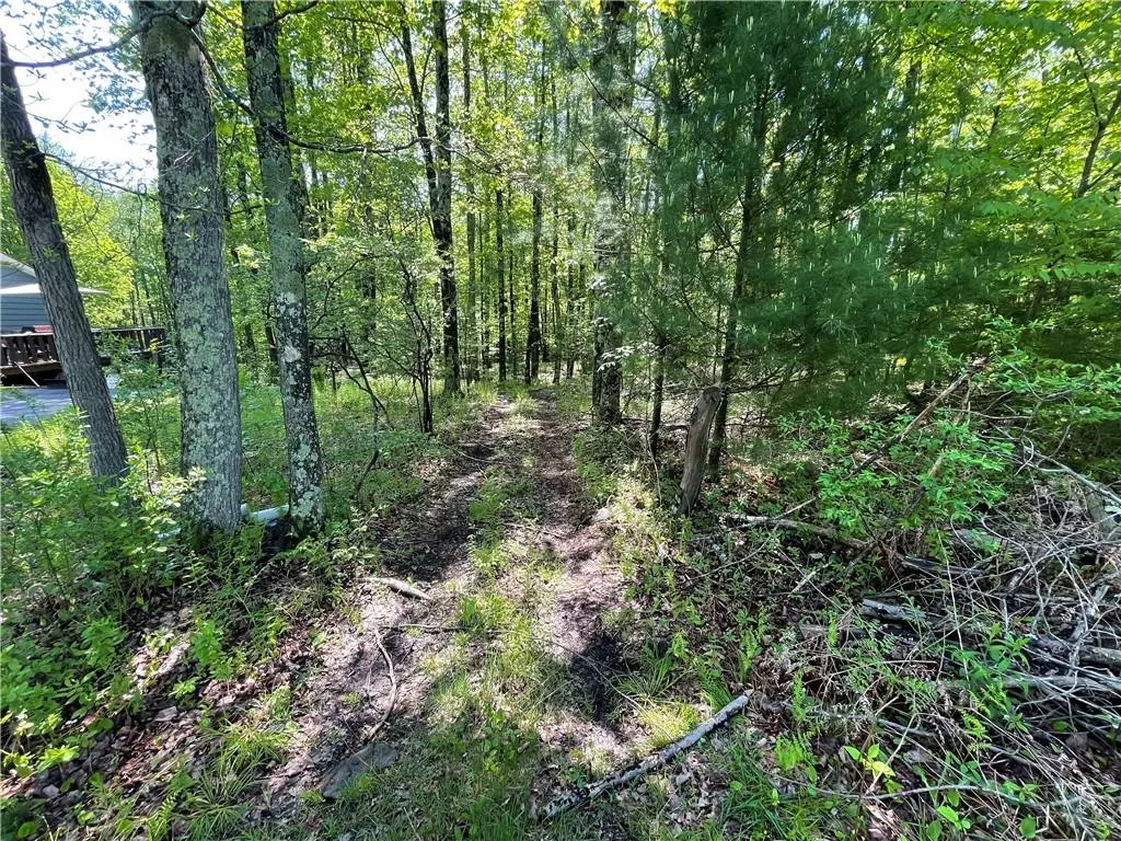 Fallsburg, NY 12733,Lot 10 Lavista Dr Tr 101