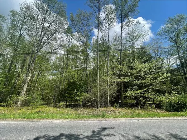 Fallsburg, NY 12733,Lot 11 La Vista Road Tr 101