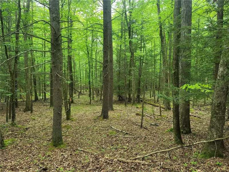 Curtis RD, Eldred, NY 12528