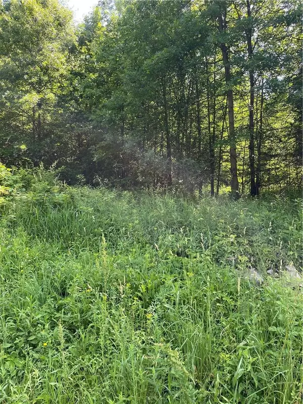 Bull RD, Rock Tavern, NY 12575