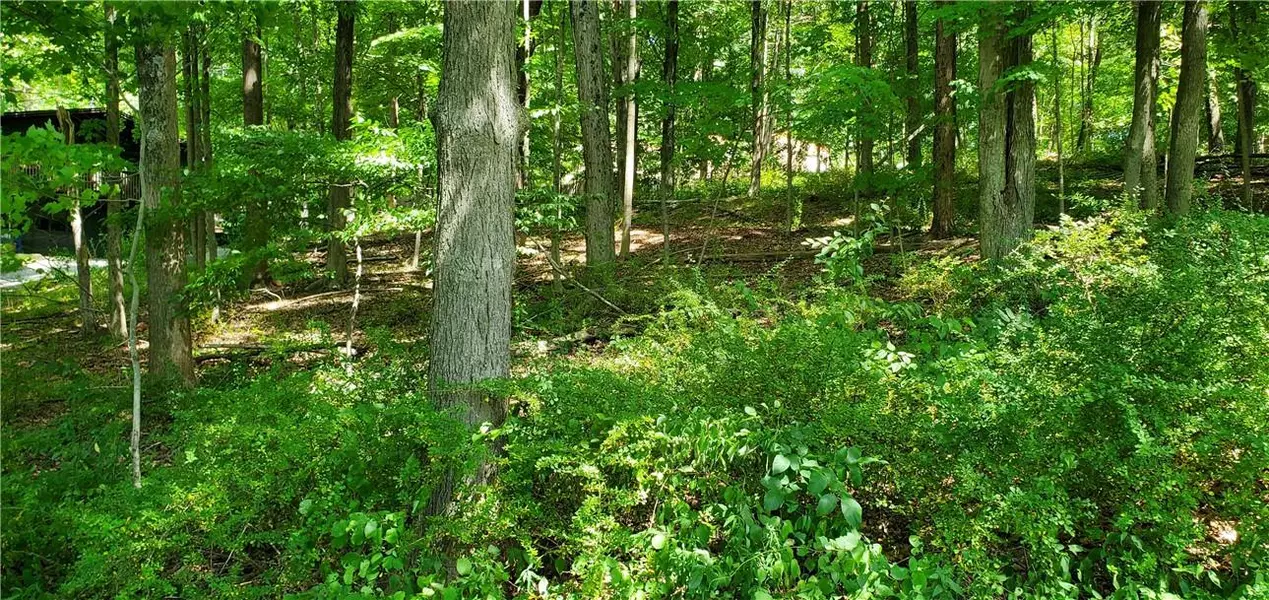 Trail The Maples, Putnam Valley, NY 10579