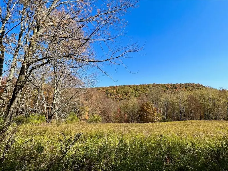 TBD Keller RD, Callicoon Center, NY 12724